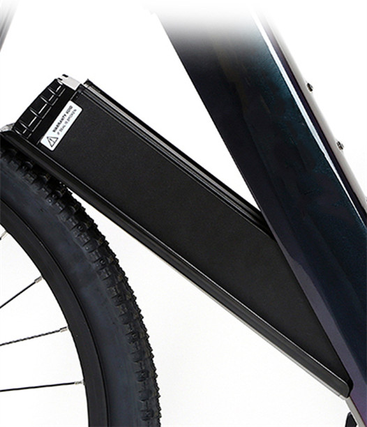 BIKE FRAME ELECTRIC BIKE BAFANG MOTOR M510 250W M600 500W FRAMES E10 CARBON FIBER