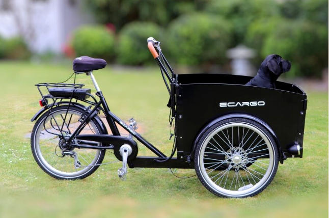 Attention! Update Coming to European Electric Cargo Bike Standards